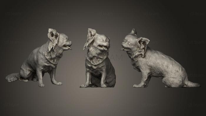 3D модель Собака чихуахуа 20 (STL)
